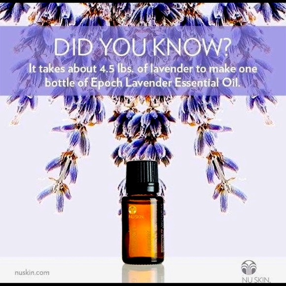 (1) Lavender Essential Oil - Picture 1 of 16